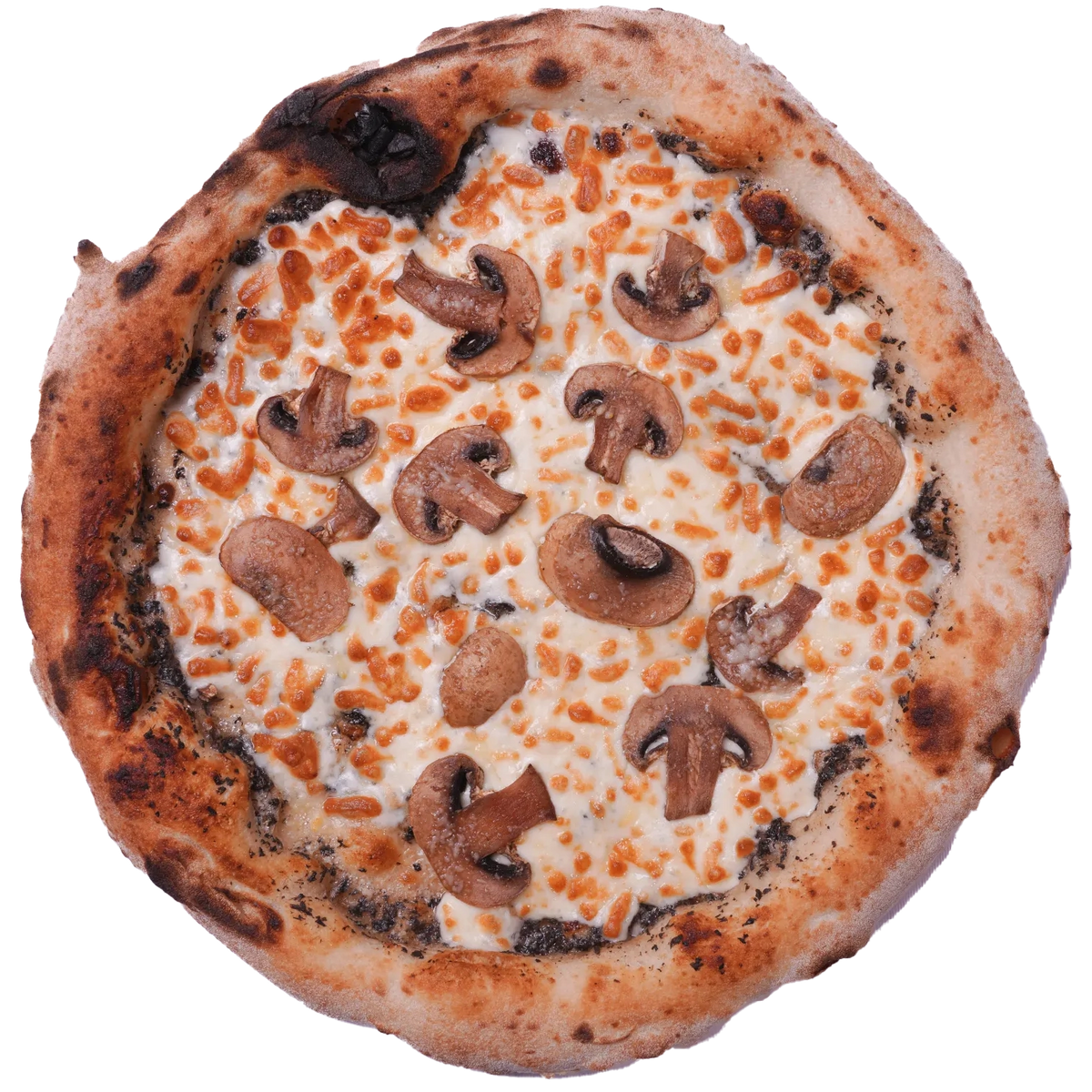 Truffle Pizza